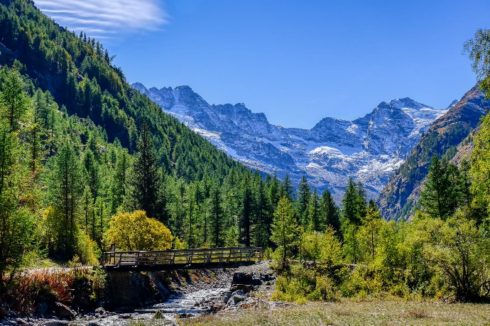 a wooden bridge over a small stream in the mountains